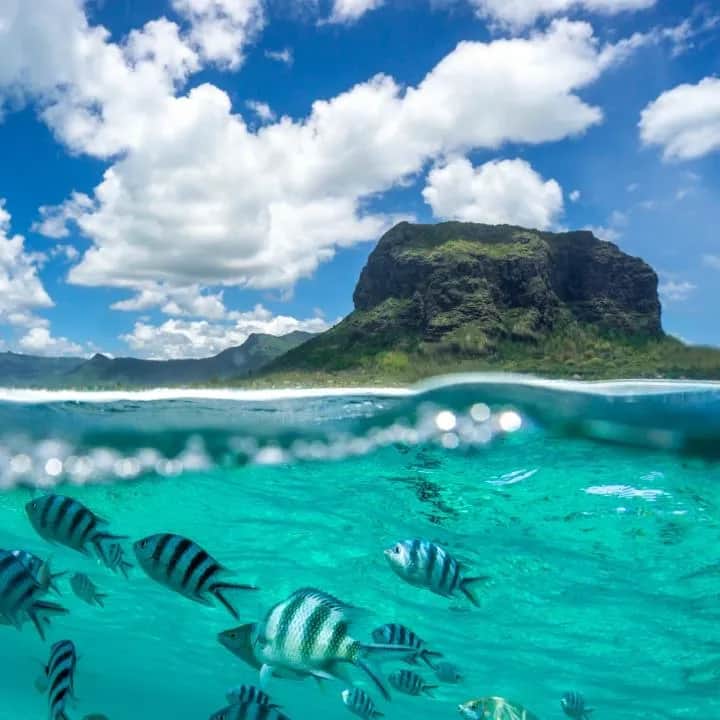 Najlepszy czas na podróż na Mauritius: uniknij deszczu i ciesz się idealną pogodą