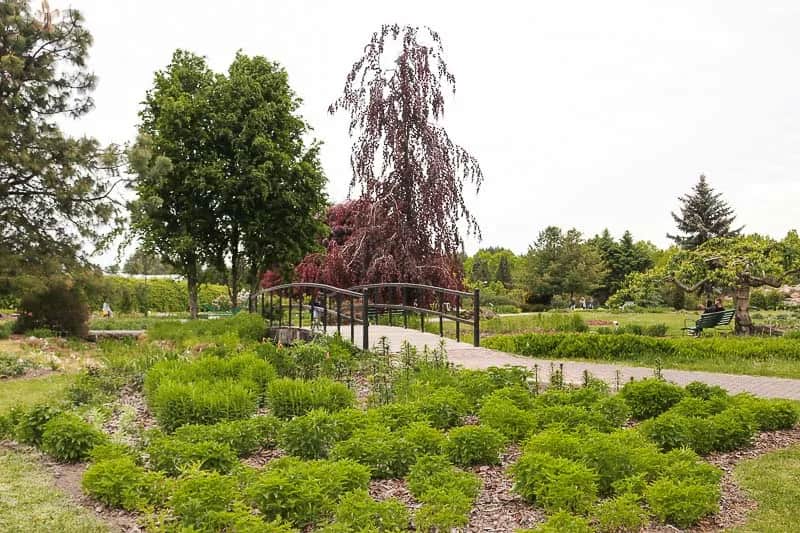 Kiedy najlepiej jechać do Powsina, aby nie przegapić atrakcji?