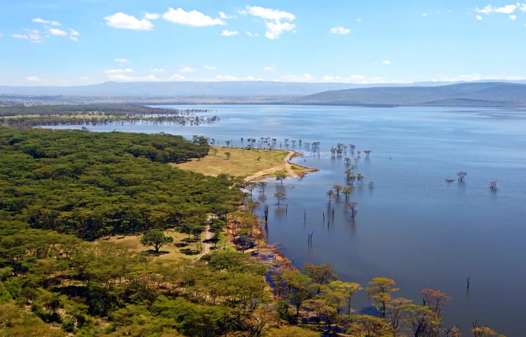 Kenia kiedy jechać: najlepsze miesiące na safari i plaże